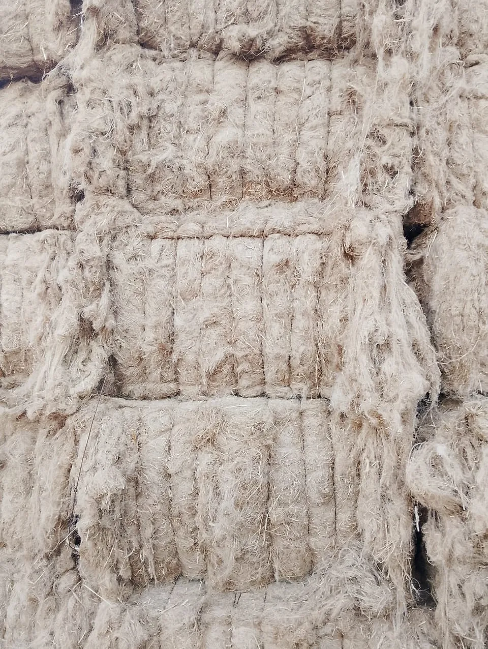 Cleaned Short Flax Tow (Arous): Egyptian flax fiber from the Flax United product collection