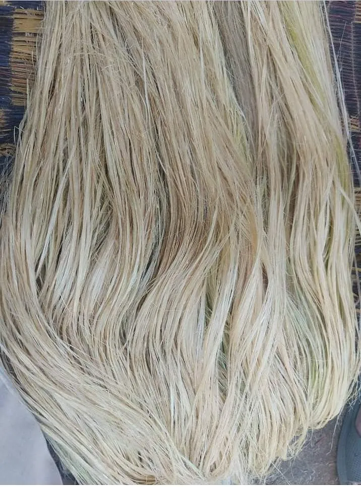 Hackled Long Flax Fiber: Egyptian flax fiber from the Flax United product collection