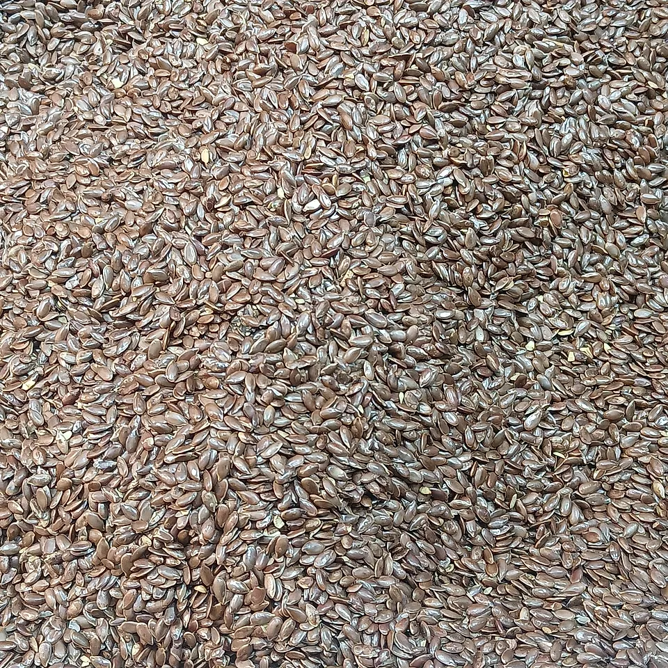 Flaxseeds: Reference photo